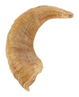 Lamb Horn – wholesale natural dog chew